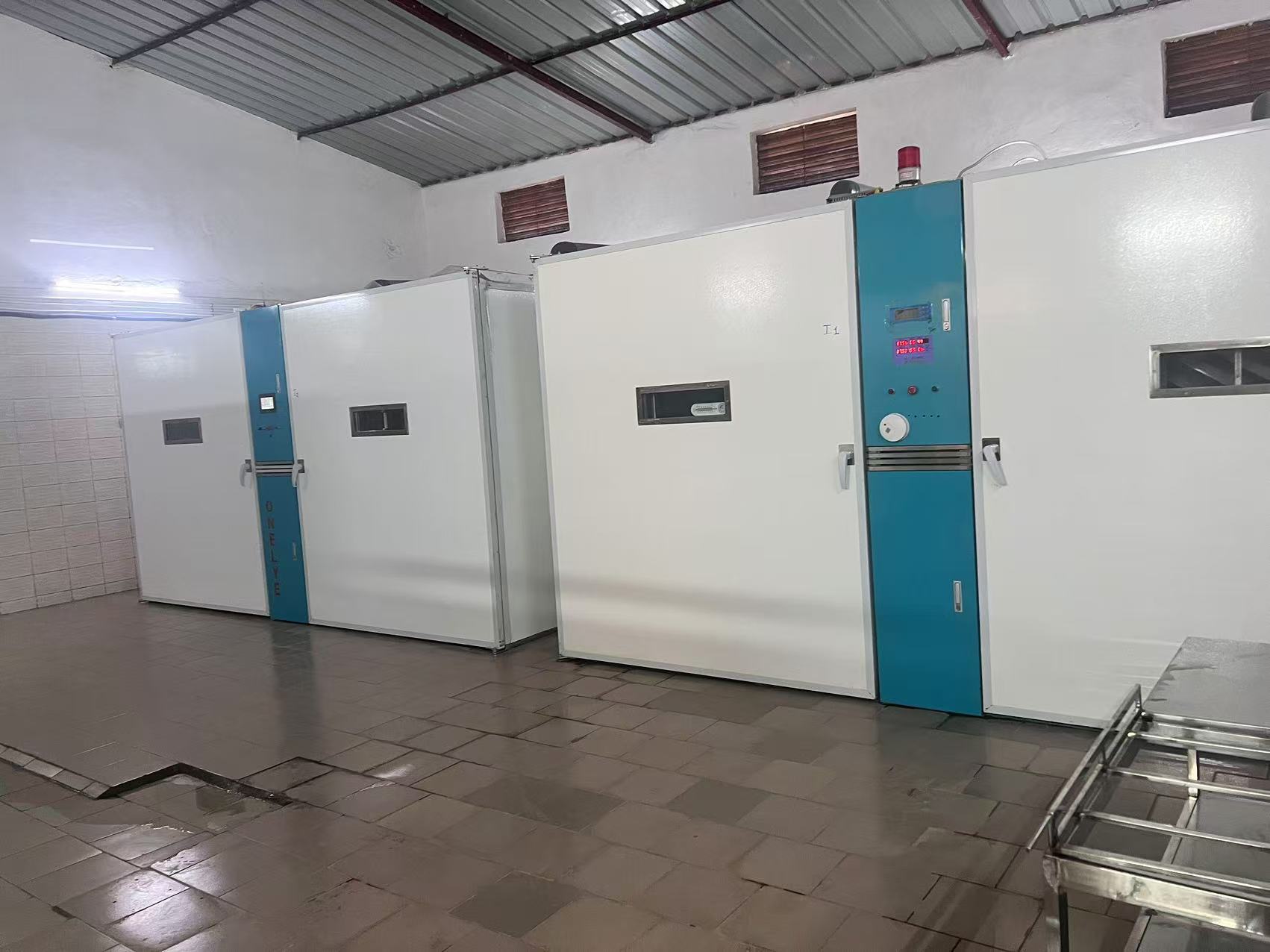 Latest company blogs about How Automation Increases Hatch Rates to 98% in Modern Incubators