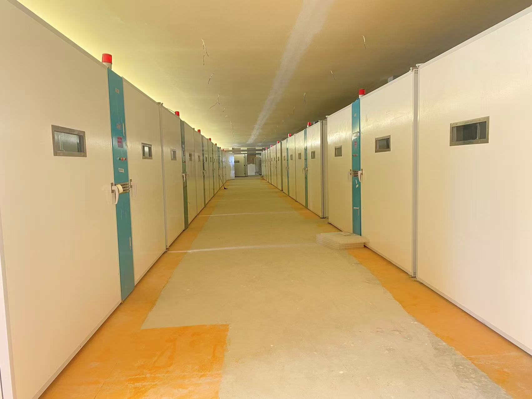Latest company blogs about Kenyan Hatcheries Prioritize Continuous Supply and Local Support with 20 Single Stage Incubators
