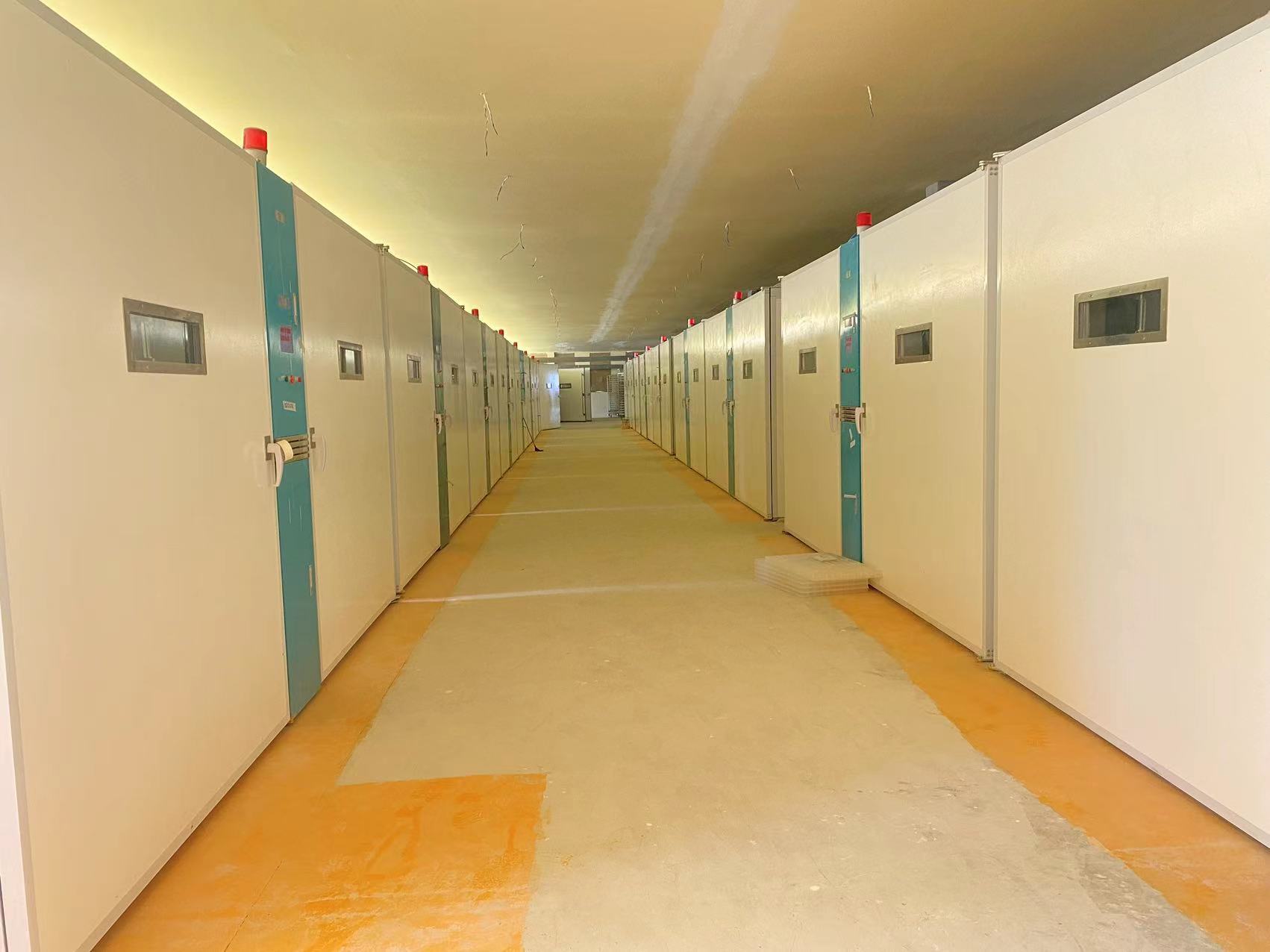 Latest company blogs about Durable Poultry Solutions: Why African Hatcheries are Switching to Stainless Steel & Fiberglass ELT-57600S