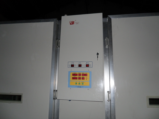 Ss Single Stage Incubator For Bird Eggs 10000 Capacity Egg Incubator