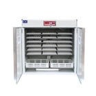 Commercial Single Stage Automatic Egg Incubator Professional