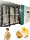 220V/50Hz Large Incubator For Eggs With Humidity Range 30-90%RH