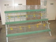 Automated Poultry Farm Accessories 3 4 Tier Poultry Chicken Egg Layer Battery Cage System For Broilers