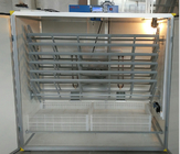 Chicken Poultry 2000 Capacity Egg Incubator Fully Automatic And Brooder All In One