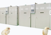 57600 Chicken Eggs Single Stage Incubator Hatching Machine