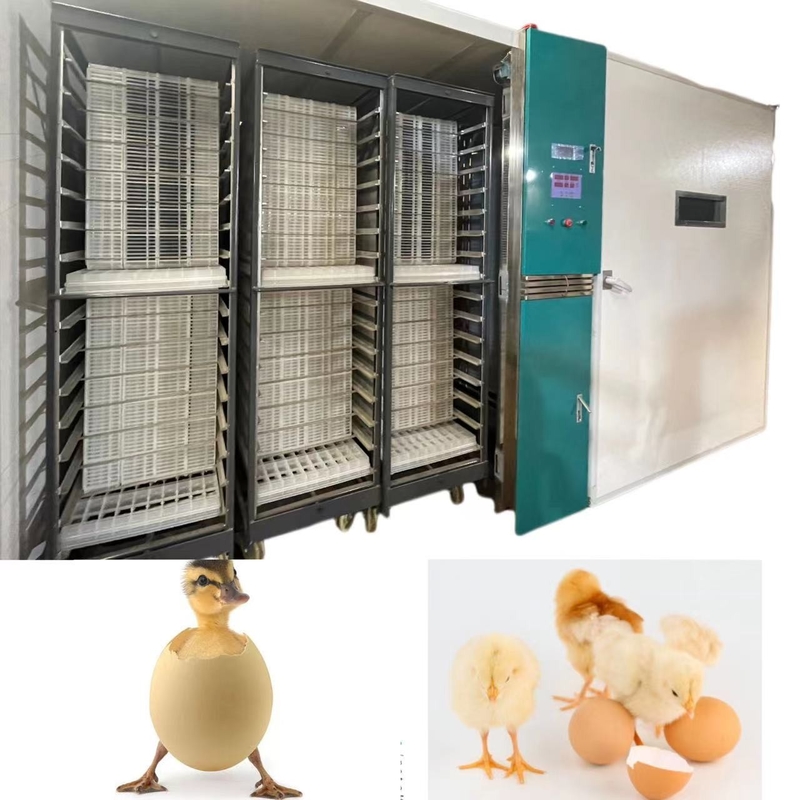 ONELYE 12000 Automatic Egg Incubator Incubate The Ducks Gooses Pigeons