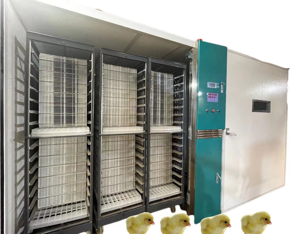 Large Scale 19200 Automatic Egg Incubator Incubate The Ducks Gooses Pigeons