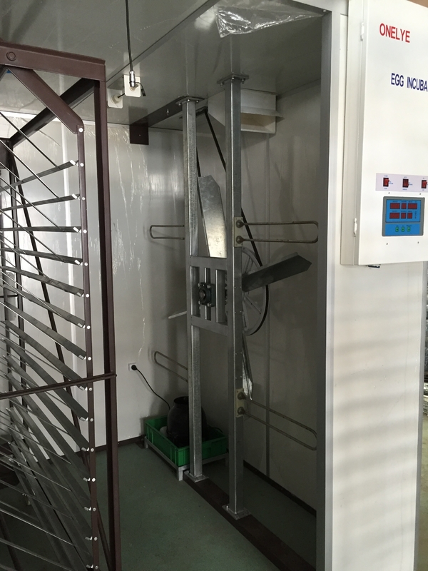 Cabinet Single Stage Incubator Setter And Hatcher 10000 Eggs Capacity