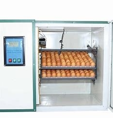 90 Degree 336 Pigeon Poultry Egg Incubator Hatcher Intelligent Controlling